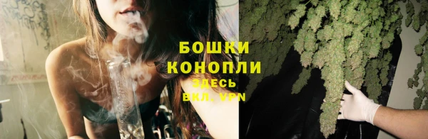 индика Горняк