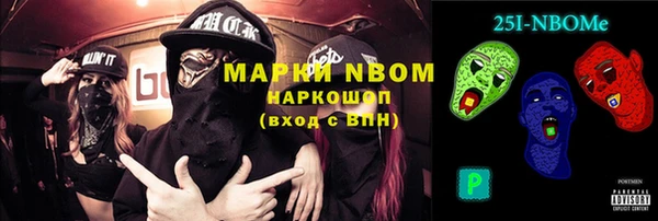 индика Горняк