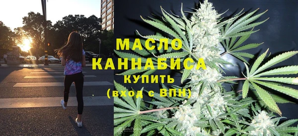 индика Горняк