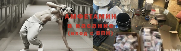 индика Горняк