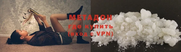 индика Горняк
