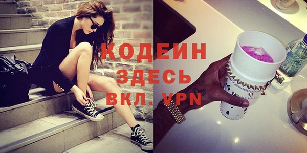индика Горняк
