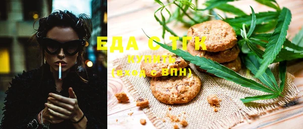 индика Горняк