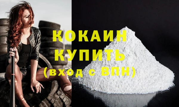 индика Горняк