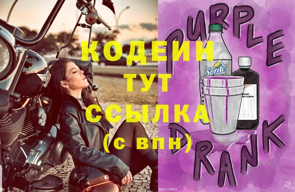 индика Горняк