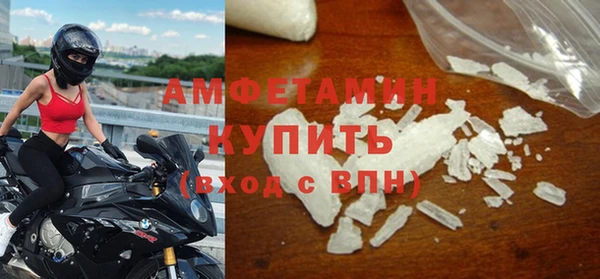 индика Горняк