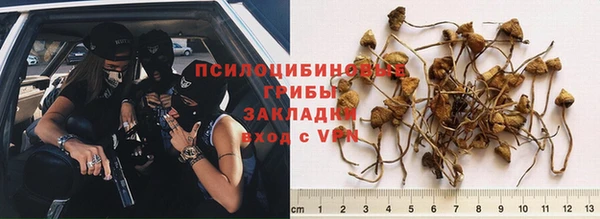 мяу мяу мука Горнозаводск