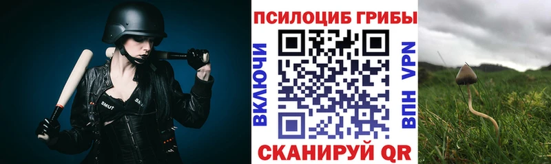 Купить где  Козловка  Псилоцибиновые грибы ЛСД 